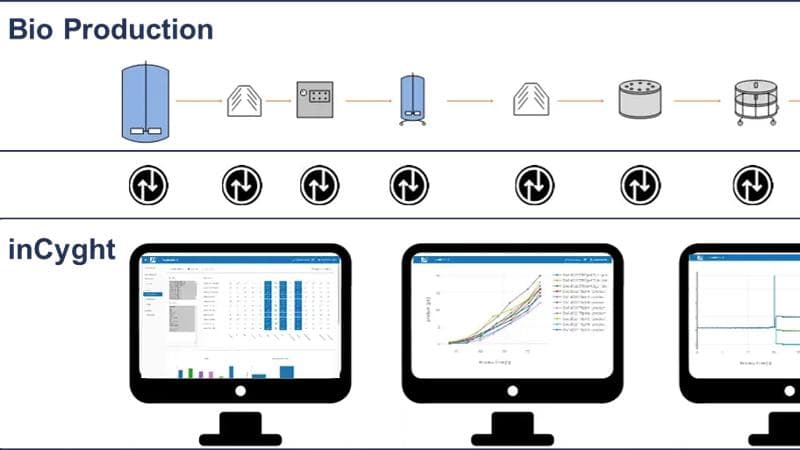Graphic representation of Bio Production and inCyght in the context of bioprocess software