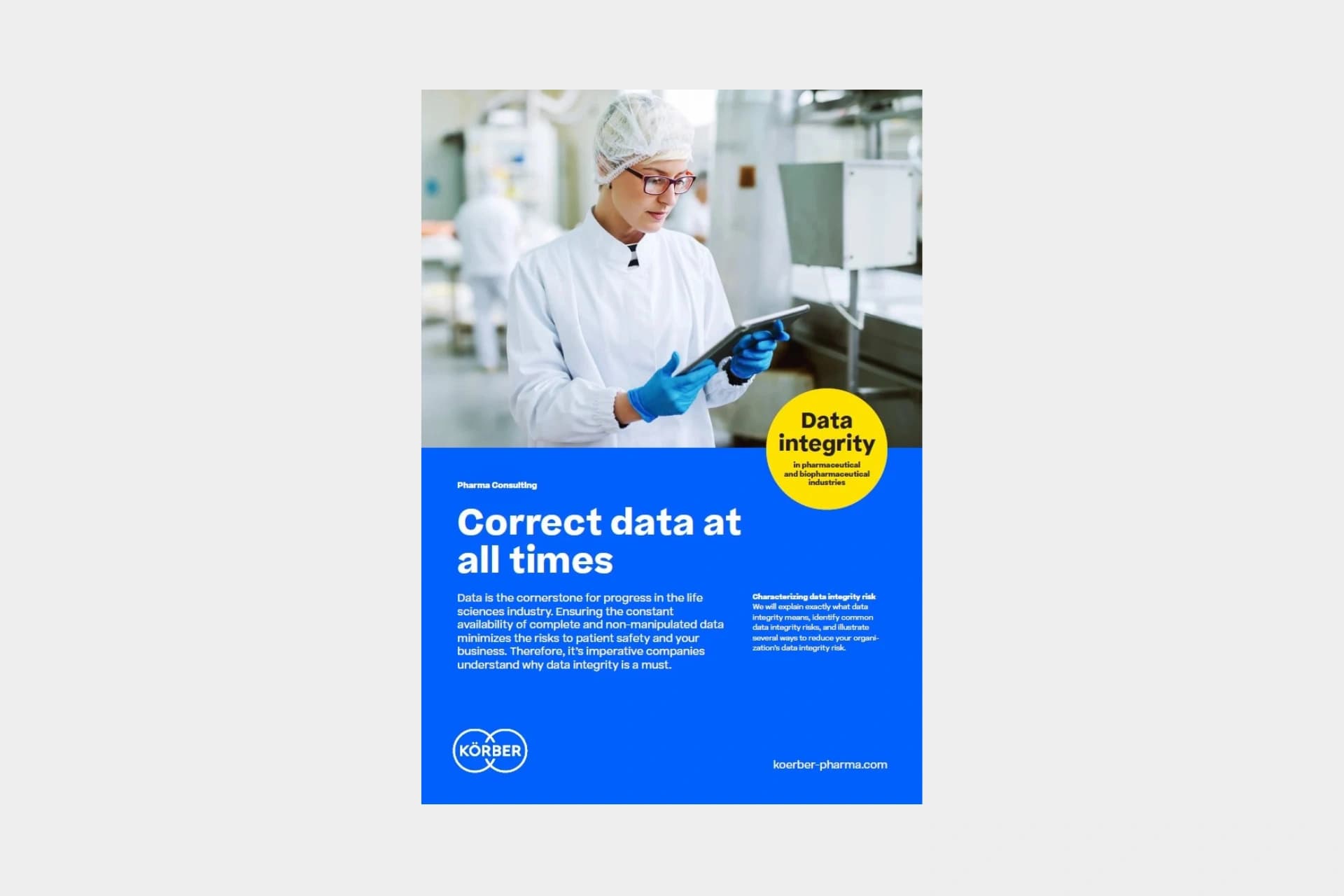 data integrity flyer cover