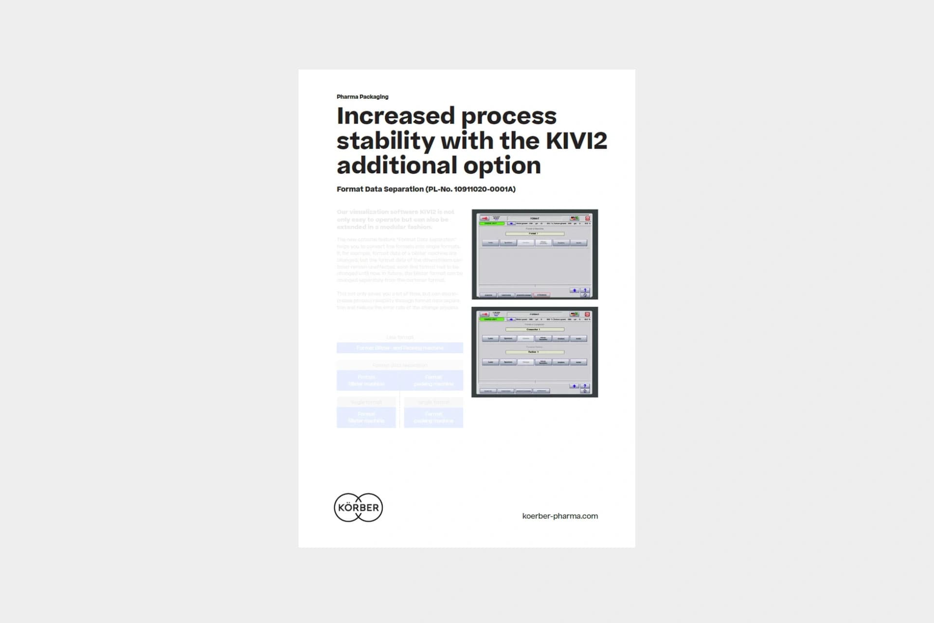 KIVI2 format data separation flyer cover