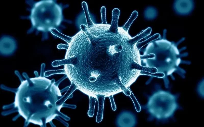 Virus in a black background with other viruses.