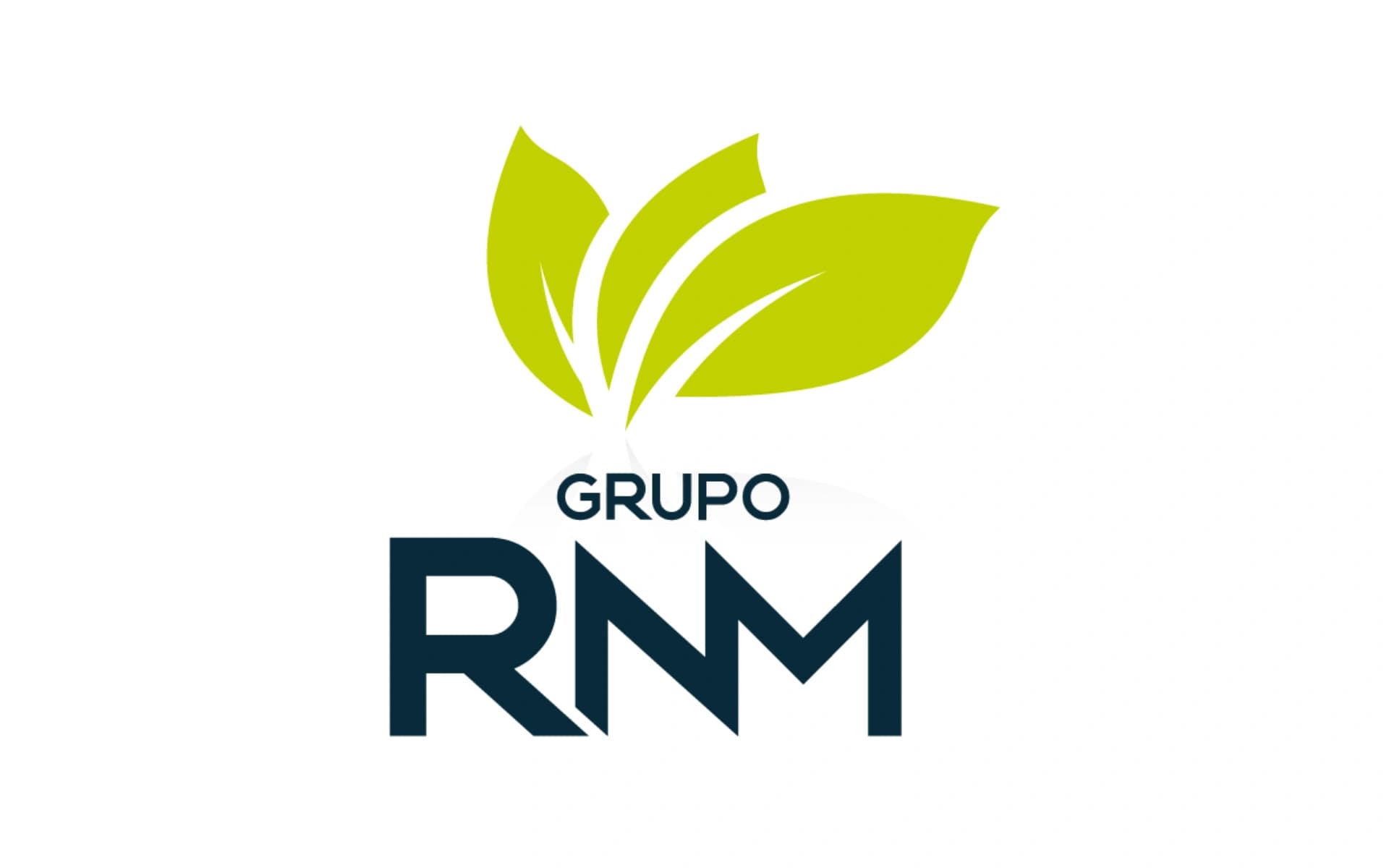 RNM Group logo