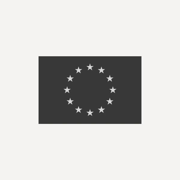 European Union flag in grey tones.