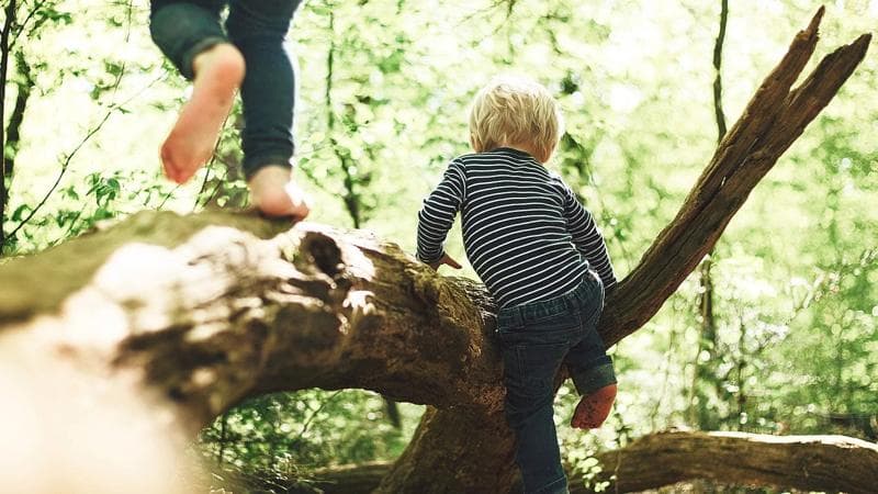 Ein Kind spielt in einem Wald, der durch nachhaltige Maßnahmen gerettet wurde.