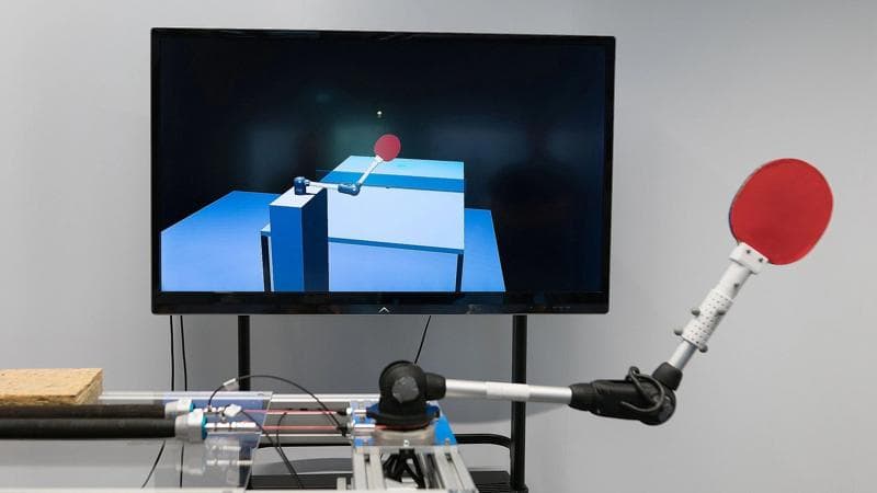 Tischtennis-Robotertraining