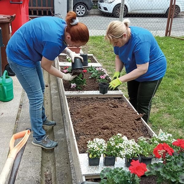 Körber employees planting flowers in sustainability efforts.