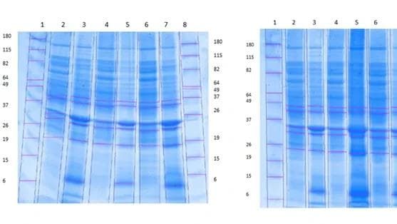 Graphics results related to bioprocess data analytics.