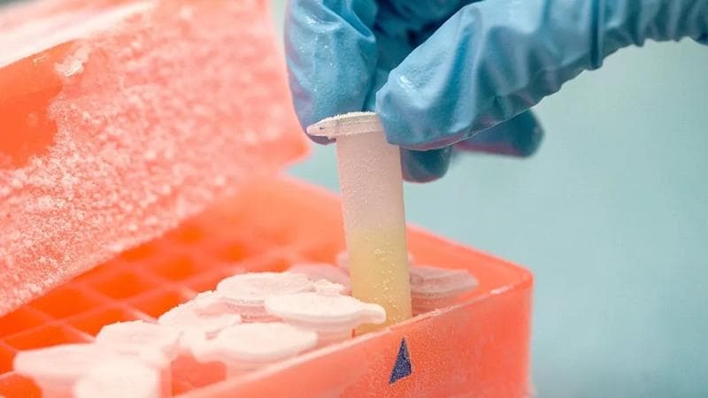 Reagenzgläser in einem orangefarbenen Gefrierbehälter.
