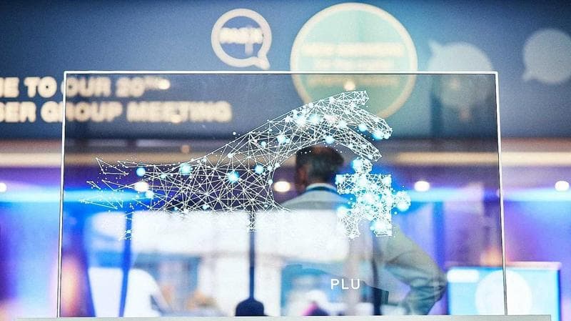 Photo of a digital connection net