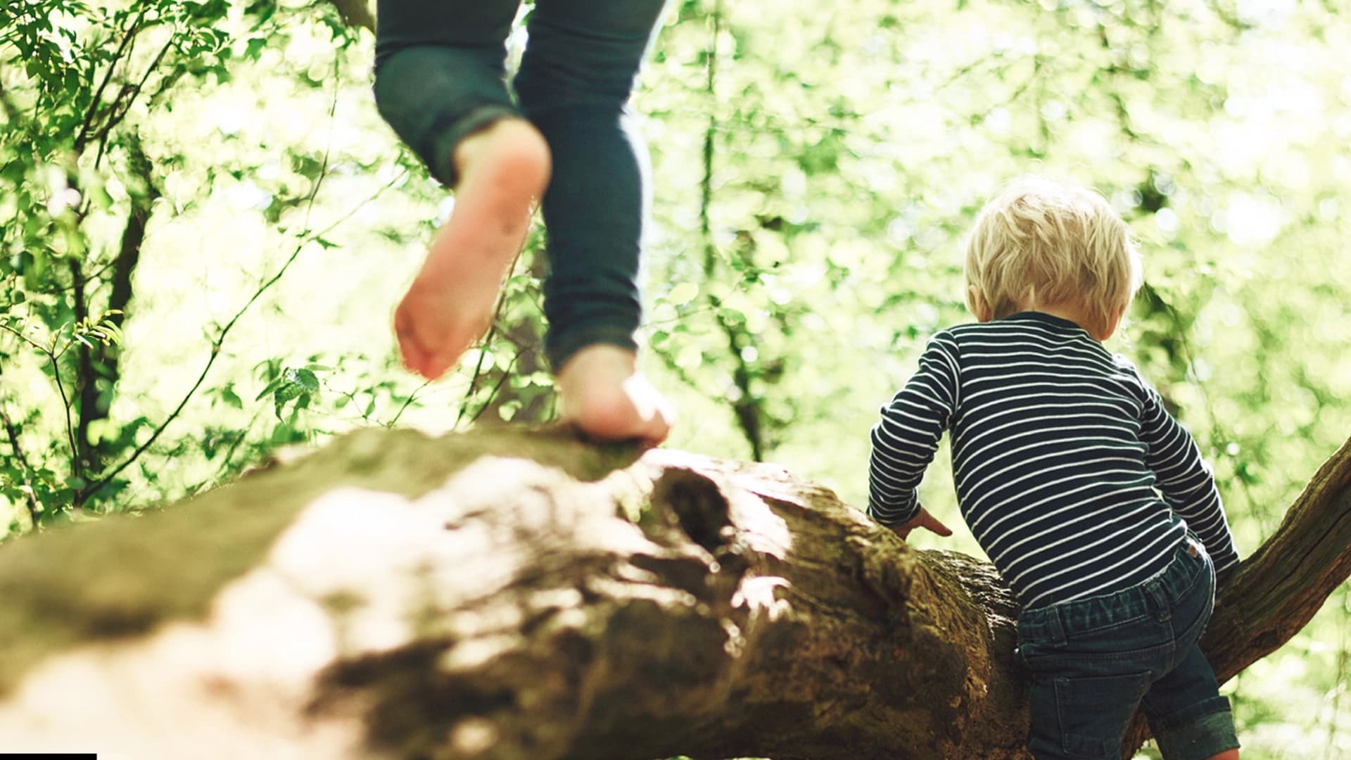 A child playing in a forest saved by sustainability actions