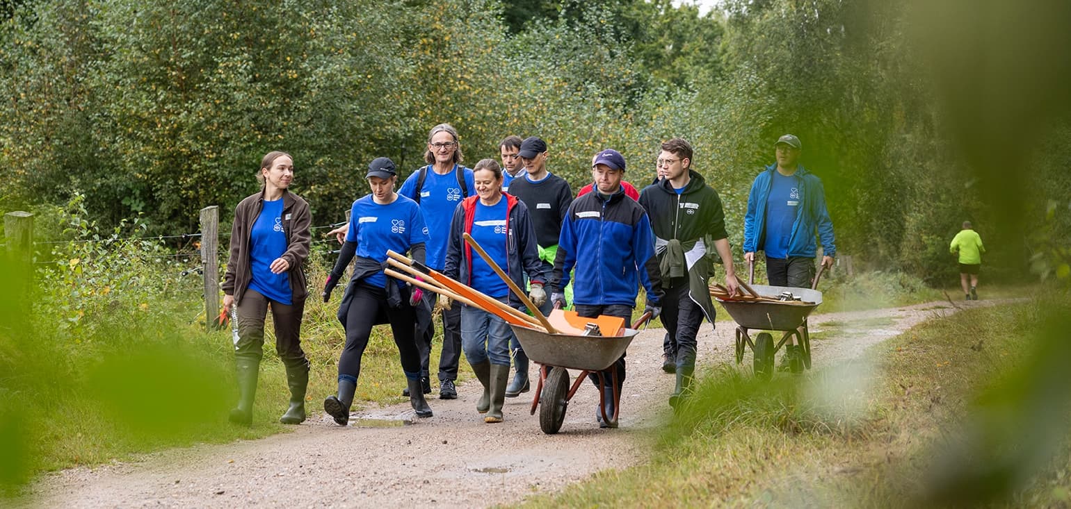 Group of Körber employees volunteering in a forest.