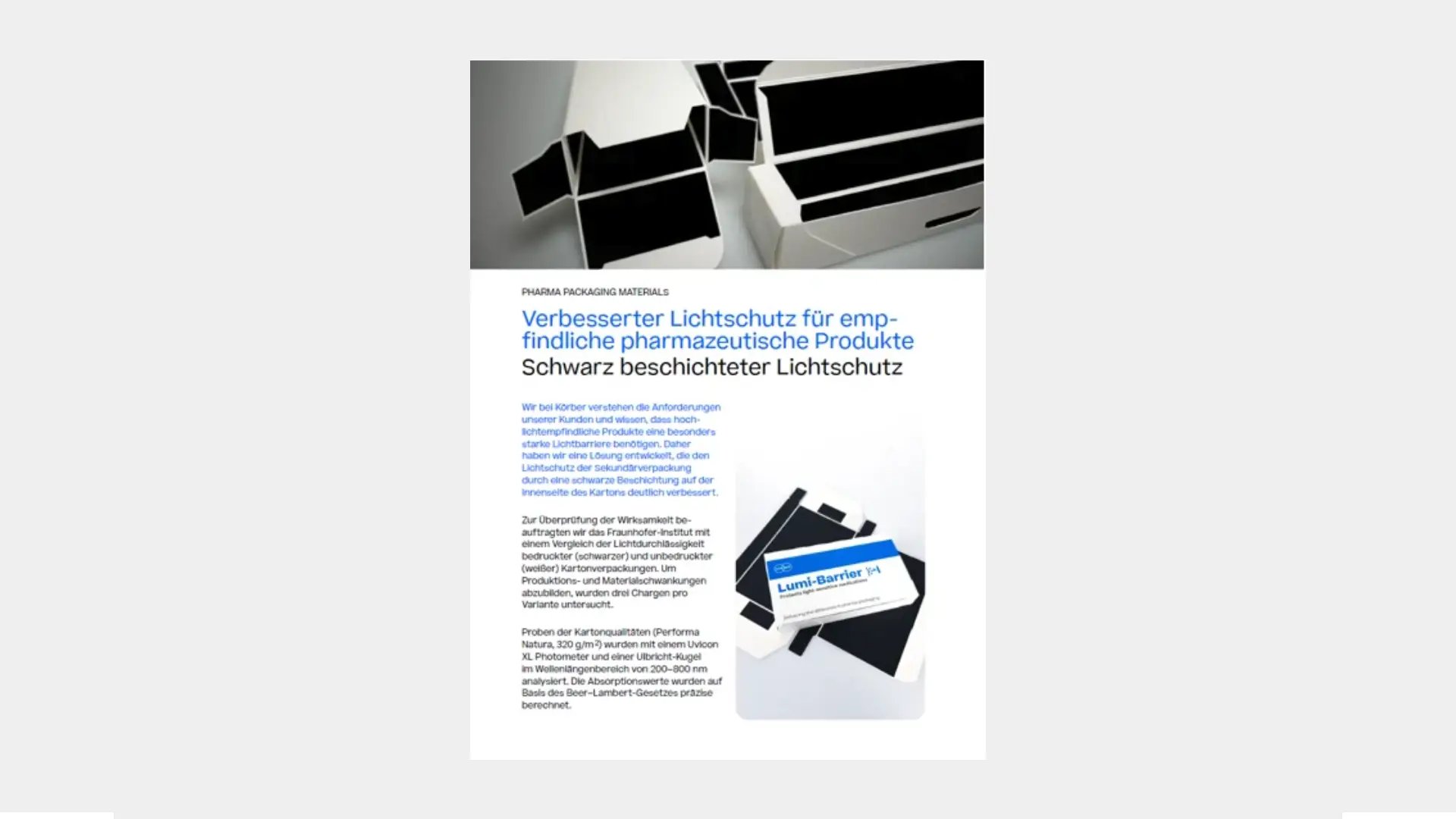 Titelseite des Informationsblatts zur Lumi-Barriere.