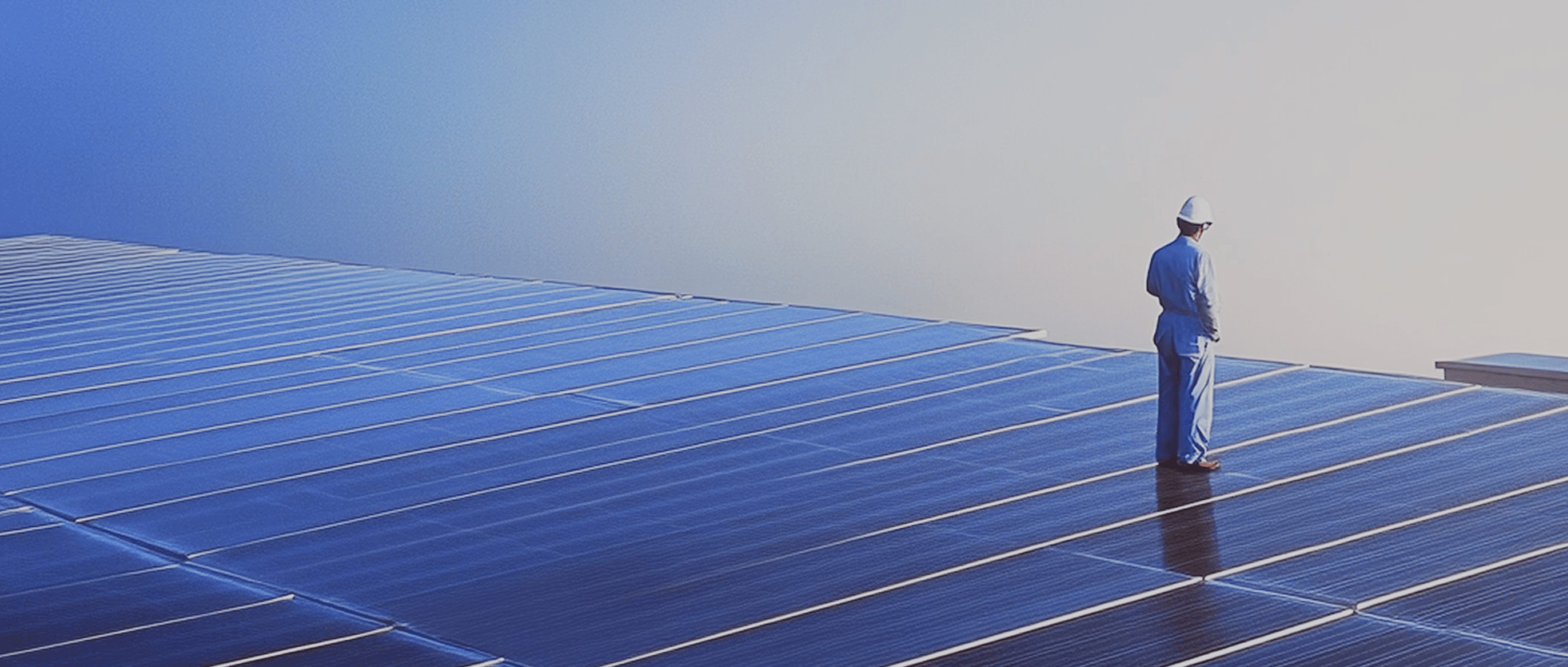 Man standing in a solar panel field