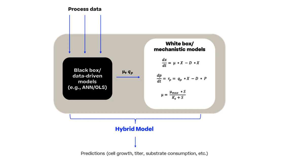 Diagram illustrating the hybrid model process for hydrogen production, showing key steps and components involved.